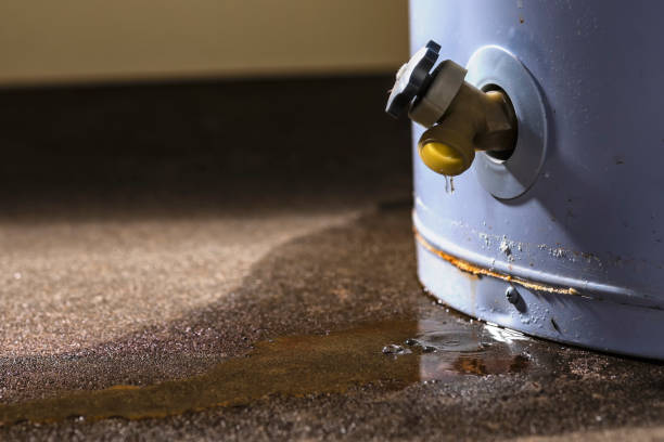Best Flood restoration services  in Marshfield, WI