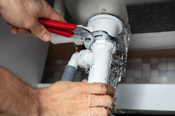 Best Flooded house restoration  in Marshfield, WI