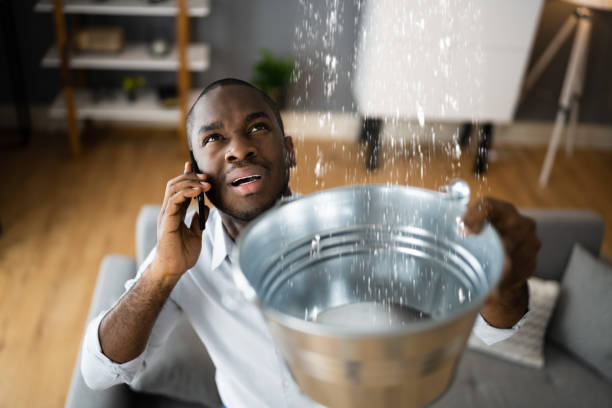 Best Water damage restoration near me  in Marshfield, WI