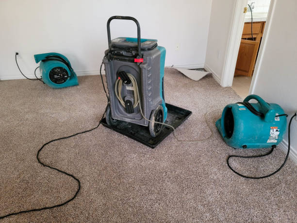 Best Professional water damage repair  in Marshfield, WI