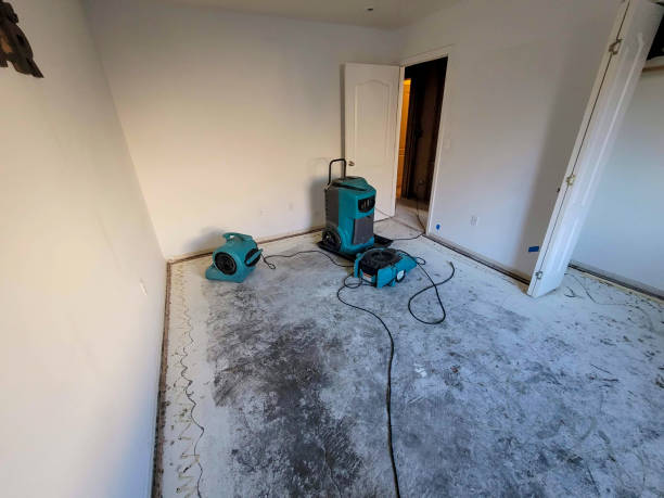 Best 24/7 water damage repair  in Marshfield, WI