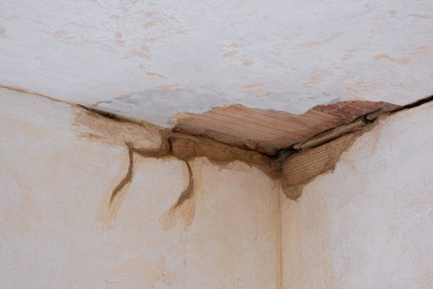 Best Sewage cleanup and water damage restoration  in Marshfield, WI