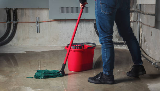 Best Residential water damage restoration  in Marshfield, WI