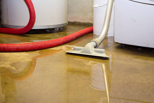 Best Professional water damage repair  in Marshfield, WI