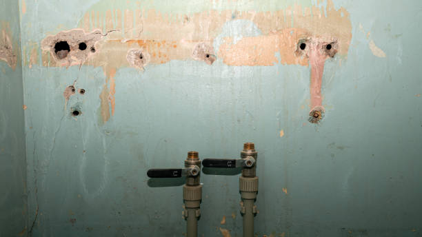 Best Flood damage cleanup  in Marshfield, WI