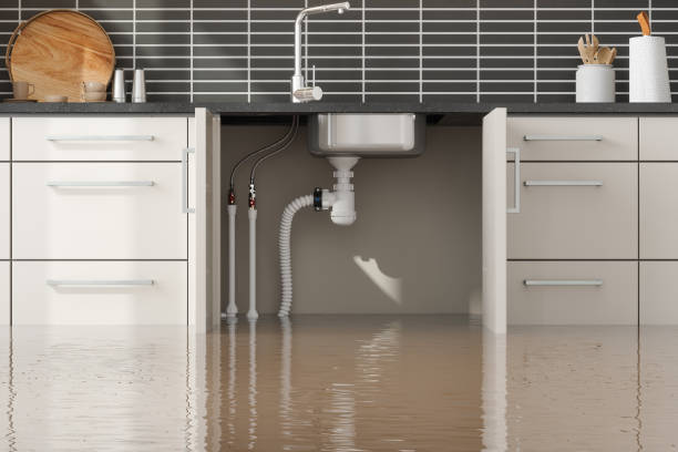 Best Flooded house restoration  in Marshfield, WI