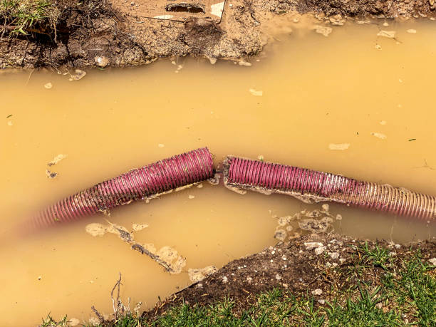 Best Carpet water damage restoration  in Marshfield, WI